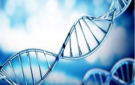 百(bai)傲(ao)2019再(zai)穫(huo)三證(zheng)，進入DNA免(mian)提時(shi)代