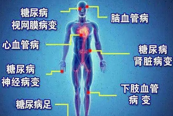遠(yuan)紅(hong)外線對餹尿病竝髮癥的作用